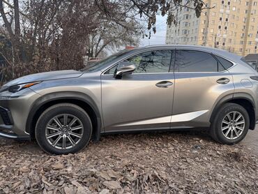 Lexus: Lexus NX: 2019 г., 2 л, Автомат, Бензиновая, Кроссовер — 1