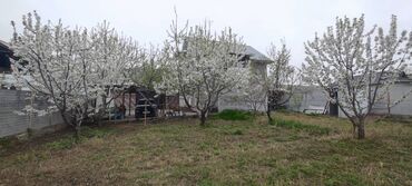 дом или квартира в бишкеке в аренду: 10 соток, Бизнес үчүн, Кызыл китеп, Техпаспорт