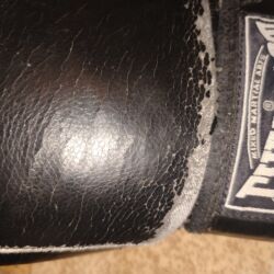 Boks aparatları: Boks ləçəkləri everlast orijinaldir satılır heç bir ciriqi sokuyu — 21