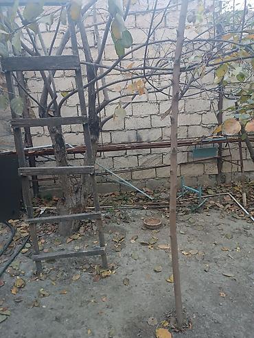 Həyət evləri və villaların satışı: 8 otaq, 90 kv. m, Orta təmir — 12