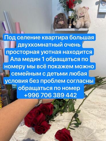 сдается комната аламедин 1: 2 бөлмө, Менчик ээси, Чогуу жашоо менен, Эмерексиз