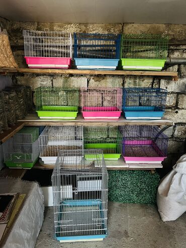 Qəfəslər: Etrafli vp 051 494 09 86 Qefeslerin her biri satişda var qefes bitende — 7