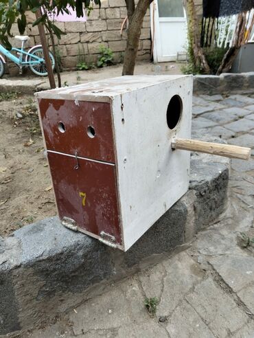 Yuvalar: Kerella yuva 7 eded 4 Iran qefesi 10 eded 10 azn Balaca yuva 47 eded -da lalafo.az — 8 Yuvalar: Kerella yuva 7 eded 4 Iran qefesi 10 eded 10 azn Balaca yuva 47 eded — 8