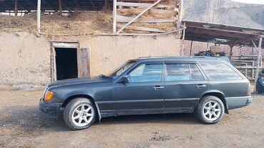 Mercedes-Benz: Mercedes-Benz W124: 1988 г., 2.5 л, Механика, Дизель, Универсал