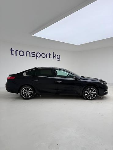 Renault: Renault : 2019 г., 2 л, Автомат, Газ, Седан — 6