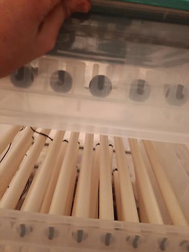 Инкубаторы: Полностью автоматический инкубатор для яиц с цифровым управлением — 6