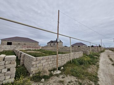 hovsan torpag: 3 sot, Kənd təsərrüfatı, Maklerlər narahat etməsin, Kupça (Çıxarış)