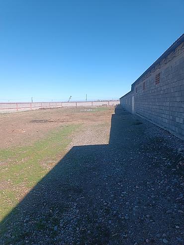 Продажа сельхоз предприятий: 1000 соток, Действующий, Частично с оборудованием, Электричество, Скважина, Холодная вода — 16