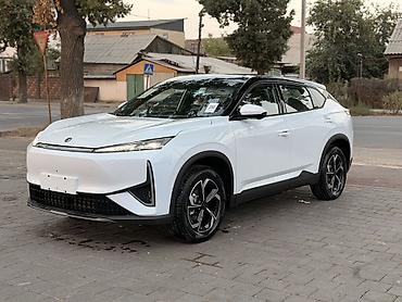 yan up: Dongfeng : 2026 г., Автомат, Электромобиль, Кроссовер — 3