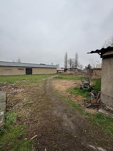 Продажа коттеджей и домов: Заплатите за участок и получите в ПОДАРОК Дом и новый сарай 7×21 из — 7