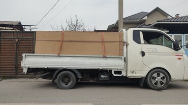 Легкий грузовой транспорт: Легкий грузовик, Новый