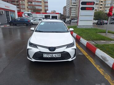 kiraye masinlar gunluk: Aylıq, Toyota