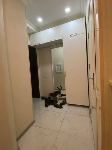 Yeni tikili: 3 otaqlı, Yeni tikili, m. Koroğlu, 82 kv. m -da lalafo.az — 8 Yeni tikili: 3 otaqlı, Yeni tikili, m. Koroğlu, 82 kv. m — 8