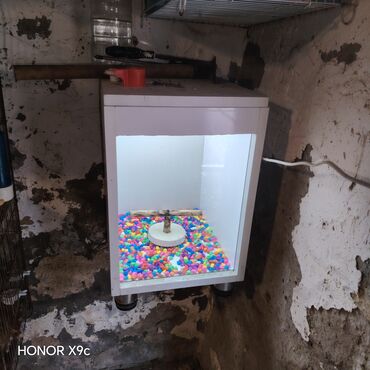 Tutuquşları: Hazir Ferma tecili. Satilir. unvan Sumqayit Yem temizleyen aparat fofo — 8