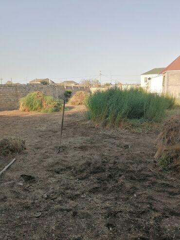 Bağbanlar: Bağban, 44 yaş, 5 ildən artıq təcrübə — 26