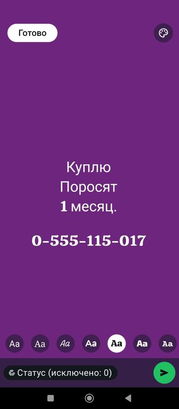 А/ч жаныбарларын сатып алам: Сатып алам | Чочколор
