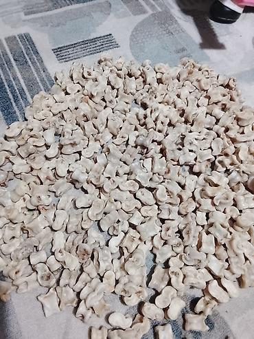 кой бишкек: Чуко домпой . 1000. штук бар таза — 4