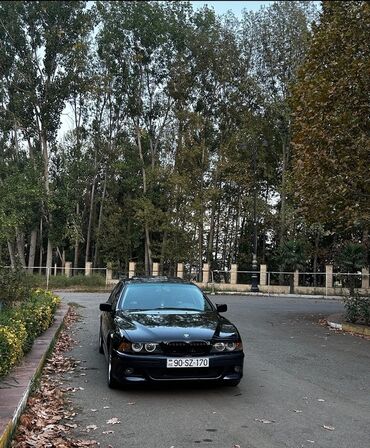 е39 бмв: BMW 525: 2.5 l | 2002 il Sedan