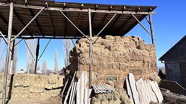 Корма для с/х животных: Чуй ичи доставка бесплатно. Экинчи кос беде. Сено в тюках — 6