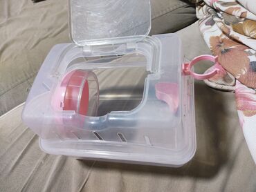 Oyuncaqlar: Kiçik gəmiricilər üçün qaçış topu və daşıma konteyneri seti. - — 8