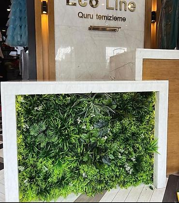 Bitkilər üçün dibçəklər: Ev ofis restoran ve s yerlerin suni gul dekor iwleri 1 kv - 130 azn — 7
