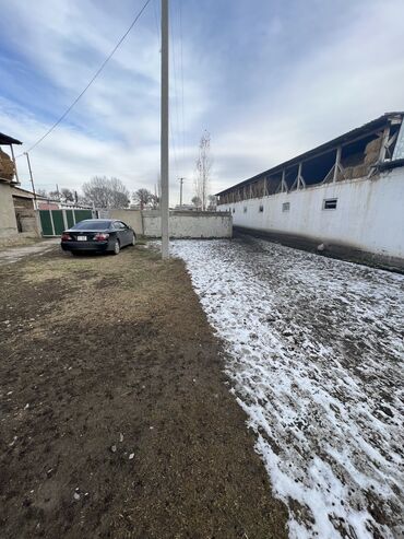 Другая коммерческая недвижимость: Сдаю Конюшню в перспективном районе для содержания лошадей и быков — 10