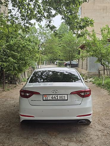 Продажа авто: Hyundai Sonata: 2014 г., 2 л, Автомат, Бензин, Седан — 2