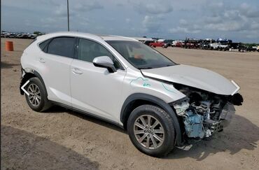 лексус 350 в бишкеке цена: Lexus NX: 2019 г., 2 л, Автомат, Бензин, Кроссовер