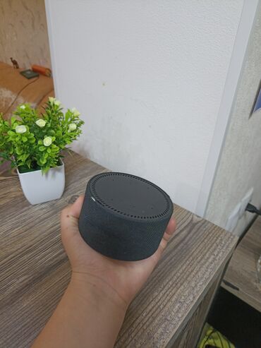 акустические системы mee audio колонка в виде собак: Умная колонка (компактная, тканевая отделка, цвет — черный. Яндекс
