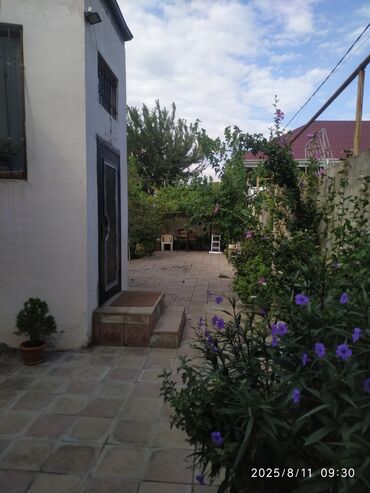 Kirayə evlər: Masazır 3 otaqlı, 75 kv. m, Kredit var, Yeni təmirli
