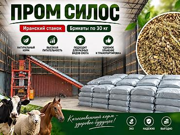 аллер корм: Силос кукурузный в мешках 8сом кг - Упакованный резаный силос из — 1