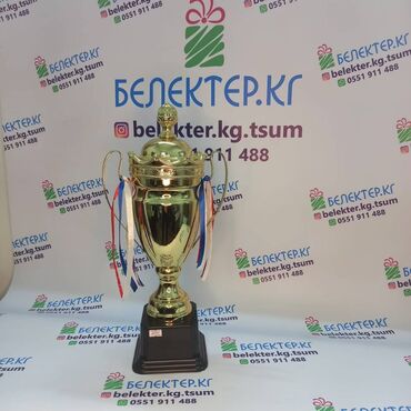 Статуэтки: ✅ Кубки спортивные ✅Бесплатная табличка ✅Бесплатный дизайн ✅Упаковка — 13