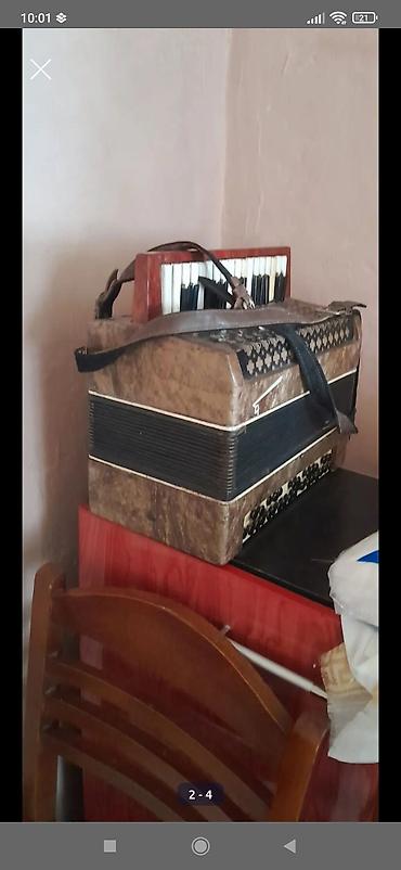 akardion: Akustik Akkordeon, İşlənmiş — 2