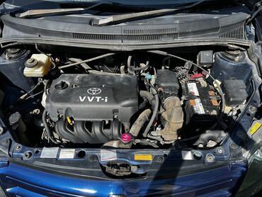 Toyota: Toyota ist: 2003 г., 1.5 л, Автомат, Бензин, Хэтчбэк — 4