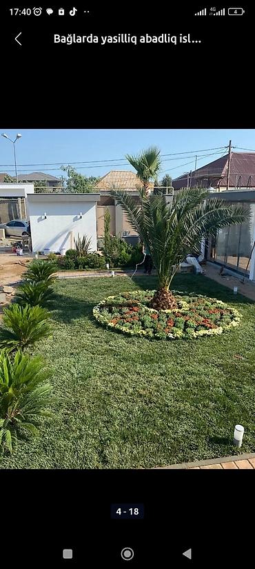 Toxumlar: Qazon çatrlma qurasdirma torf gubresinn satişi butun yasiliqa aid — 22