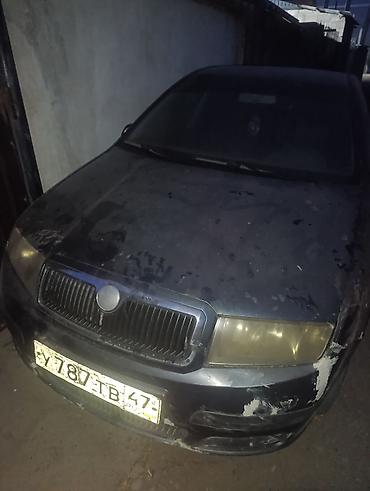 daf xf105: Skoda Fabia: 2005 г., 1.3 л, Механика, Бензин, Хэтчбэк — 2