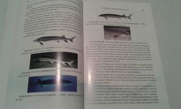 Ensiklopediyalar: Müxtəlif kitablar satılır. Biri 40 manat. "Nərəkimilər - dinozavrların -da lalafo.az — 3 Ensiklopediyalar: Müxtəlif kitablar satılır. Biri 40 manat. "Nərəkimilər - dinozavrların — 3