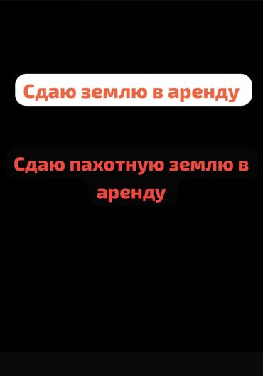 поливная земля аренда: По всем вопросам звонить❗️