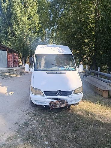 Mercedes-Benz Спринтер: 2002 г., 2.2 л, Механика, Дизель, Бус — 4