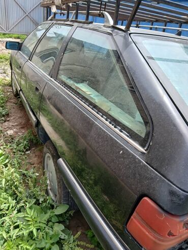 Audi: Audi 100: 1992 г., Универсал — 3