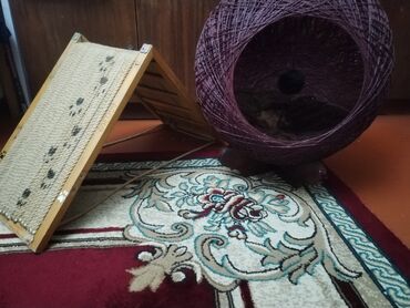купить мебель для офиса бу: Dairəvi yuva 50 azn Üçbucaq yuva 30 azn İkisi biryerdə 70 azn 🏡🐱🐈