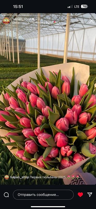 Букеты из живых цветов: Тюльпаны срезанные — букетные сборки. - Варианты окраски: насыщенный — 8