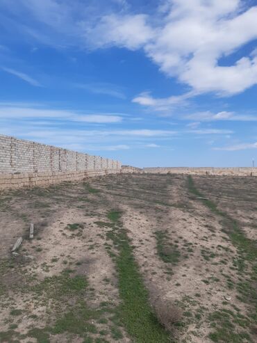 Torpaq sahələrinin satışı: 80 sot, Kənd təsərrüfatı, Maklerlər narahat etməsin, Kupça (Çıxarış) -da lalafo.az — 2 Torpaq sahələrinin satışı: 80 sot, Kənd təsərrüfatı, Maklerlər narahat etməsin, Kupça (Çıxarış) — 2