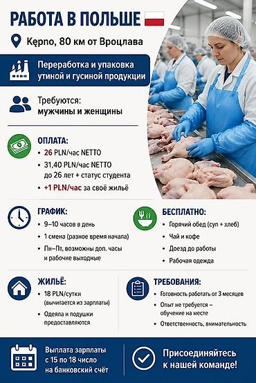 Упаковщики: Требуется Упаковщик, Оплата: Почасовая, Без опыта — 2