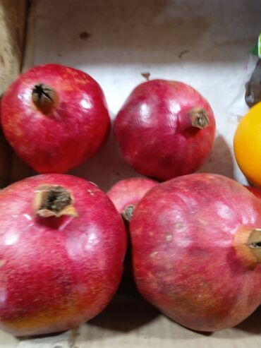 Другие фрукты: Мөмө-Жемиш оптом жана розница сатабыз — 7