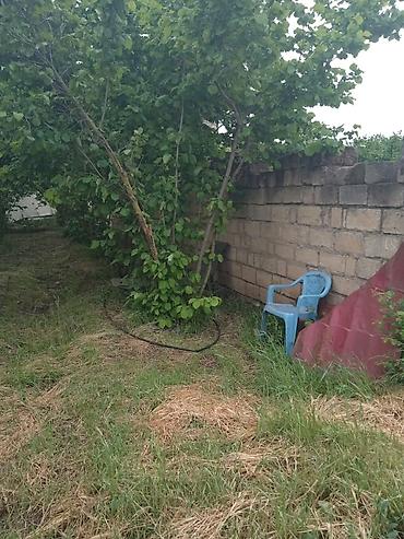 yeni əmlak az: 4 sot, Tikinti, Kupça (Çıxarış) — 5