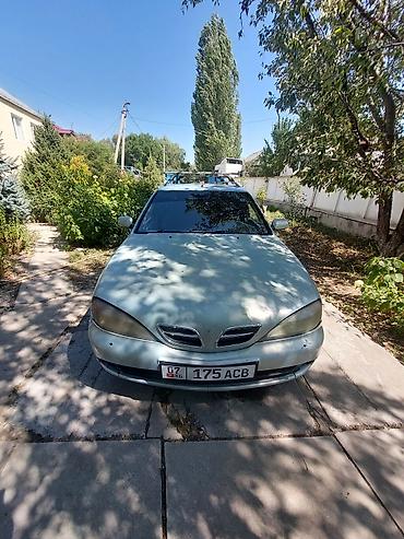wagon: Nissan Primera: 2001 г., 1.8 л, Механика, Бензин, Универсал — 1