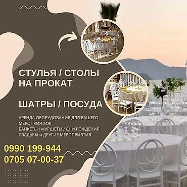 Пластиковые стулья: Пластиковый стул — 11