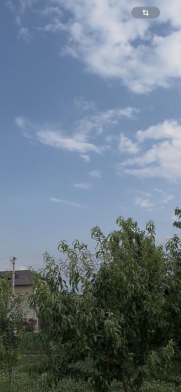 Продажа участков: 8 соток, Для строительства, Красная книга at lalafo.kg — 7 Продажа участков: 8 соток, Для строительства, Красная книга — 7