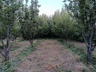 купить коттеджи на иссык куле: Дом, 110 м², 5 комнат, Собственник, Косметический ремонт
